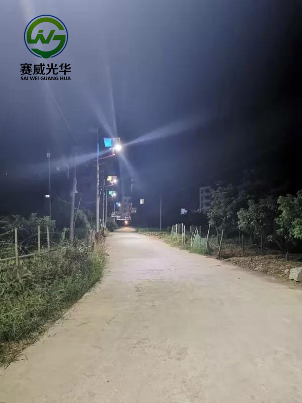 賽威光華路燈效果圖